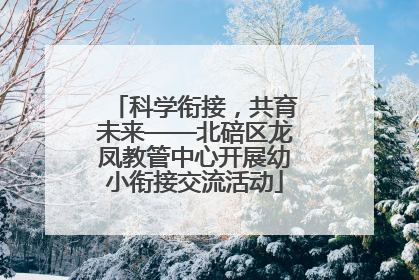 科学衔接，共育未来——北碚区龙凤教管中心开展幼小衔接交流活动