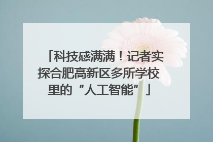 科技感满满！记者实探合肥高新区多所学校里的“人工智能”