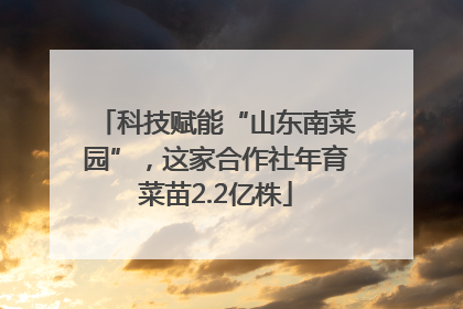 科技赋能“山东南菜园”，这家合作社年育菜苗2.2亿株