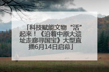 科技赋能文物“活”起来！《沿着中原大遗址走廊寻国宝》大型直播6月14日启幕