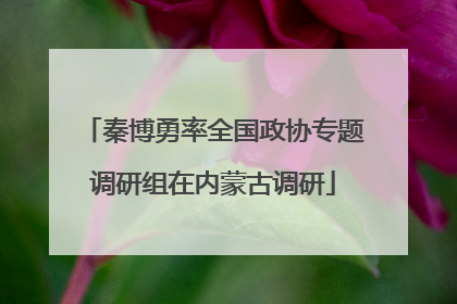 秦博勇率全国政协专题调研组在内蒙古调研
