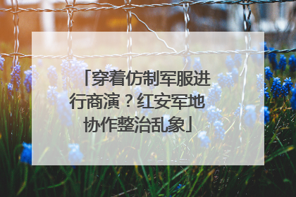 穿着仿制军服进行商演？红安军地协作整治乱象