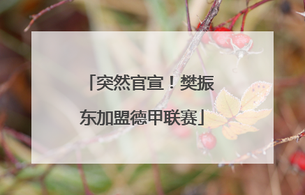 突然官宣！樊振东加盟德甲联赛