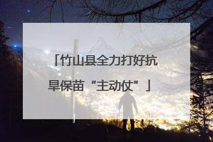 竹山县全力打好抗旱保苗“主动仗”
