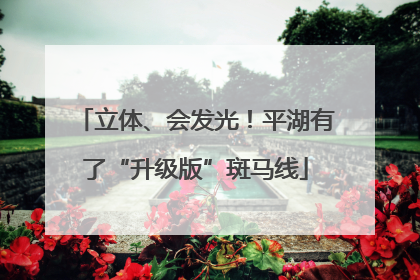 立体、会发光！平湖有了“升级版”斑马线