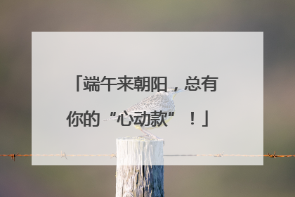 端午来朝阳，总有你的“心动款”！