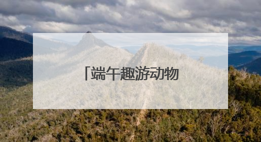 端午趣游动物世界，“粽享”量级欢乐