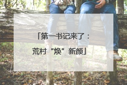 第一书记来了：荒村“焕”新颜