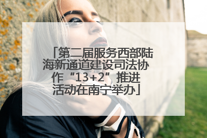 第二届服务西部陆海新通道建设司法协作“13+2”推进活动在南宁举办