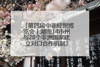 第四届中非经贸博览会丨湖南14市州与28个非洲国家建立对口合作机制