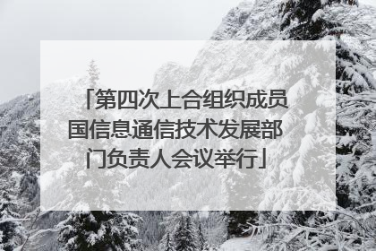 第四次上合组织成员国信息通信技术发展部门负责人会议举行