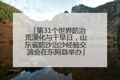 第31个世界防治荒漠化与干旱日，山东省防沙治沙经验交流会在东阿县举办