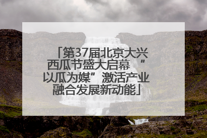 第37届北京大兴西瓜节盛大启幕 “以瓜为媒”激活产业融合发展新动能