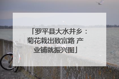 罗平县大水井乡：菊花栽出致富路 产业铺就振兴图