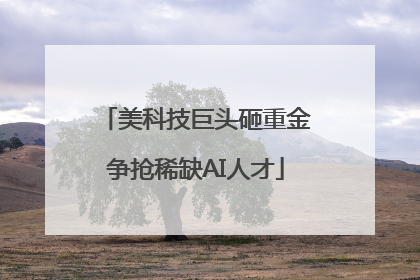 美科技巨头砸重金争抢稀缺AI人才