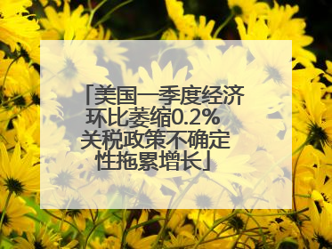 美国一季度经济环比萎缩0.2% 关税政策不确定性拖累增长