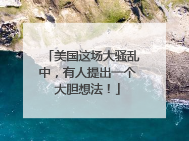 美国这场大骚乱中，有人提出一个大胆想法！