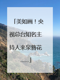 美如画！央视总台知名主持人来泉簪花……
