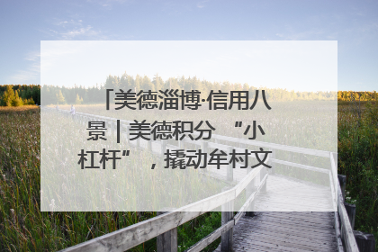 美德淄博·信用八景｜美德积分 “小杠杆”，撬动牟村文明 “大能量”
