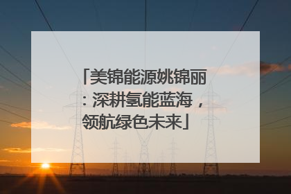美锦能源姚锦丽：深耕氢能蓝海，领航绿色未来