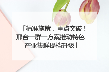 精准施策，重点突破！邢台一群一方案推动特色产业集群提档升级
