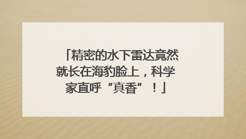 精密的水下雷达竟然就长在海豹脸上，科学家直呼“真香”！