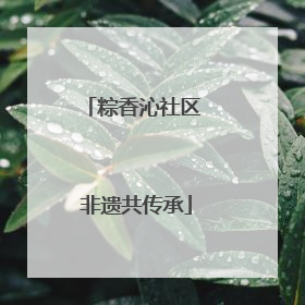粽香沁社区 非遗共传承