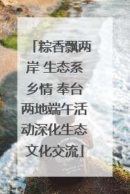 粽香飘两岸 生态系乡情 奉台两地端午活动深化生态文化交流