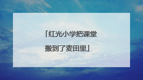 红光小学把课堂搬到了麦田里
