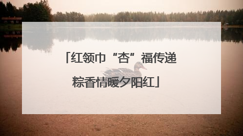 红领巾“杏”福传递 粽香情暖夕阳红