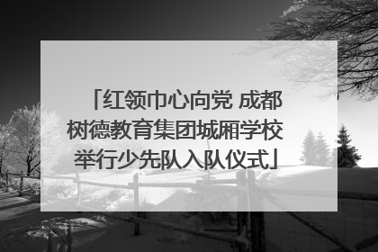 红领巾心向党 成都树德教育集团城厢学校举行少先队入队仪式