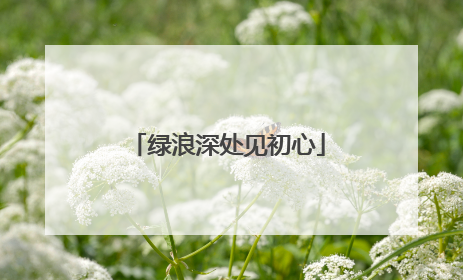 绿浪深处见初心