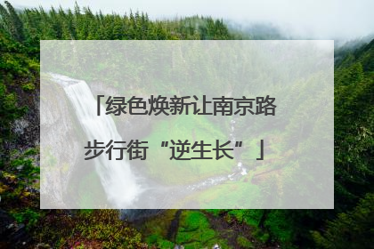绿色焕新让南京路步行街“逆生长”
