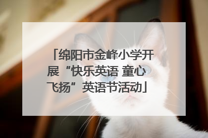绵阳市金峰小学开展“快乐英语 童心飞扬”英语节活动