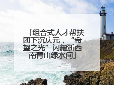 组合式人才帮扶团下沉庆元，“希望之光”闪耀浙西南青山绿水间