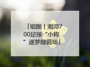 组图丨湘潭700足球“小将”逐梦绿茵场