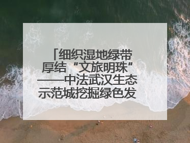 细织湿地绿带 厚结“文旅明珠”——中法武汉生态示范城挖掘绿色发展新动能
