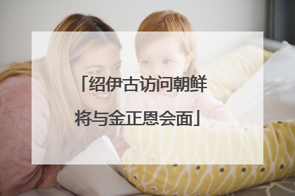 绍伊古访问朝鲜 将与金正恩会面