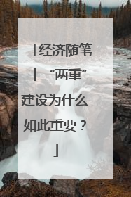 经济随笔丨“两重”建设为什么如此重要？