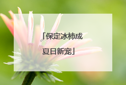 保定冰柿成夏日新宠