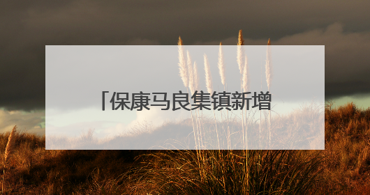 保康马良集镇新增5处违停抓拍设备，6月4日正式启用