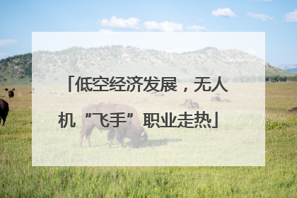 低空经济发展，无人机“飞手”职业走热
