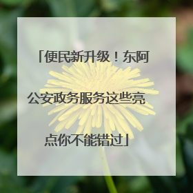 便民新升级！东阿公安政务服务这些亮点你不能错过
