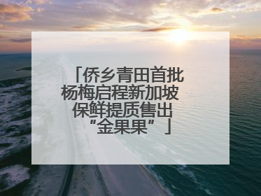 侨乡青田首批杨梅启程新加坡 保鲜提质售出“金果果”