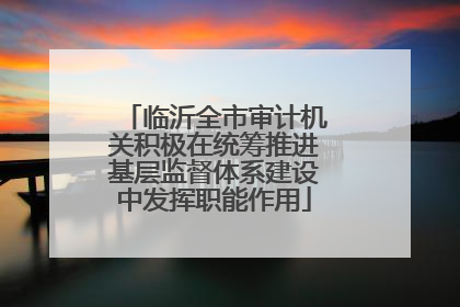 临沂全市审计机关积极在统筹推进基层监督体系建设中发挥职能作用