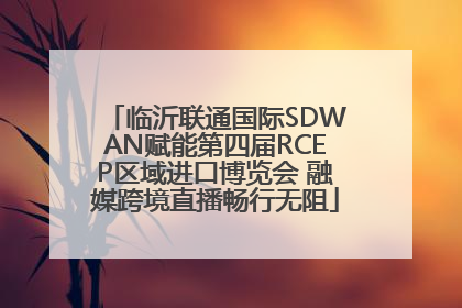 临沂联通国际SDWAN赋能第四届RCEP区域进口博览会 融媒跨境直播畅行无阻