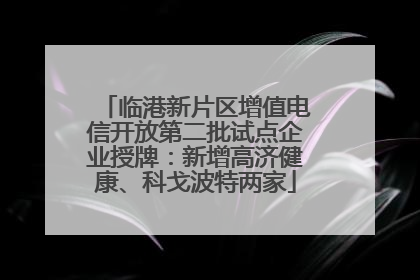 临港新片区增值电信开放第二批试点企业授牌：新增高济健康、科戈波特两家