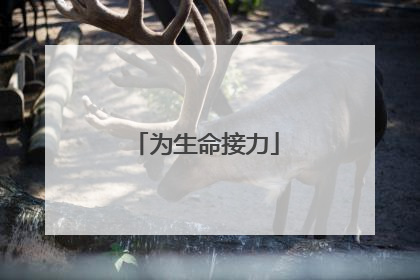 为生命接力