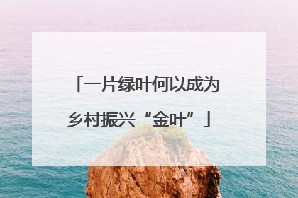 一片绿叶何以成为乡村振兴“金叶”
