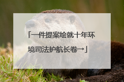一件提案绘就十年环境司法护航长卷→